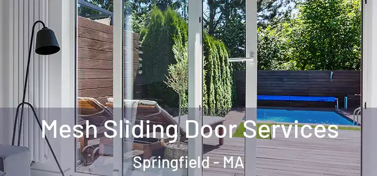 Mesh Sliding Door Services Springfield - MA